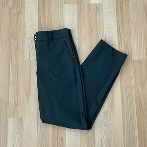 Aritzia Babaton “Classic Trouser”